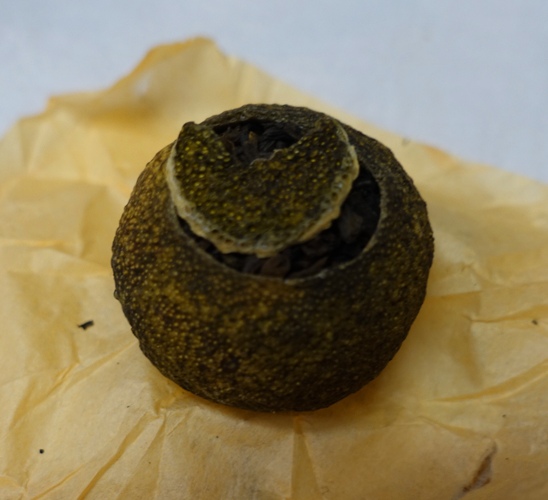 Pu'erh Tea, Mandarin, Xinhui, Orange Pu'erh