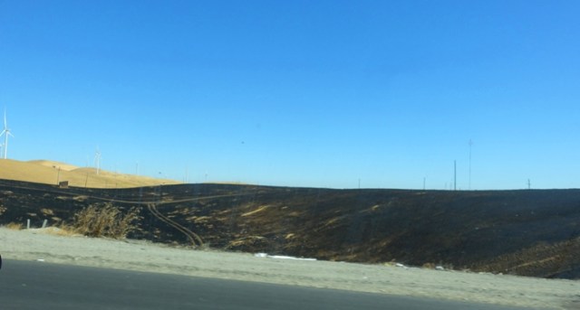 Fire on the Altamont, Blackened Altamont, Wildfire