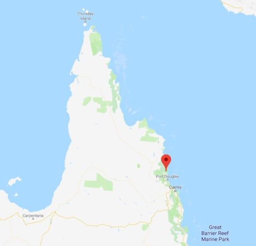 Australia, Queensland, Tea Plantation