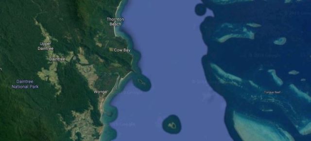 Daintree Tea, Australia, Great Barrier Reef