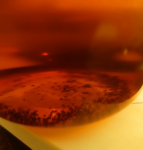 Australian Tea, Red Tea, black tea, earthy tea