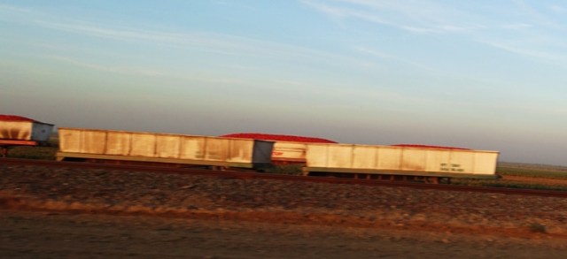 Tomatoes, Tomato Harvest, Tandem