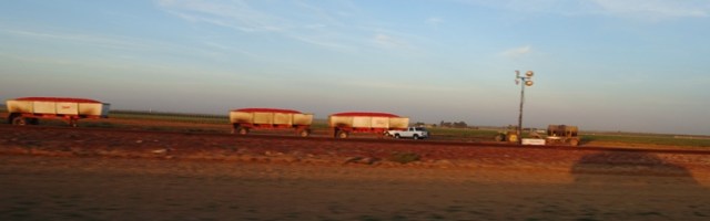 Tomato harvest, bins, trailers, lights