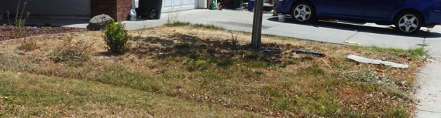 No water, shut off sprinklers, renters, dead lawn