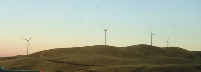 Peeking Moon, Altamont, Almost Full Moon