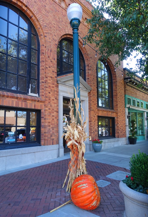 Fall Decorations, Downtown Tracy, Harvest Time
