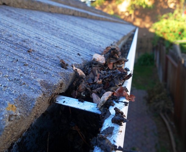 Leaves in gutter, fall house work, gutters