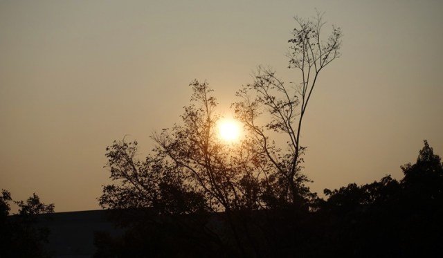 Allergies, Fire, Smoke, Camp Fire, Bad AQI