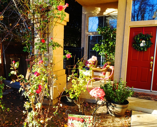 Entry Way, Roses, Flowers, Christmas