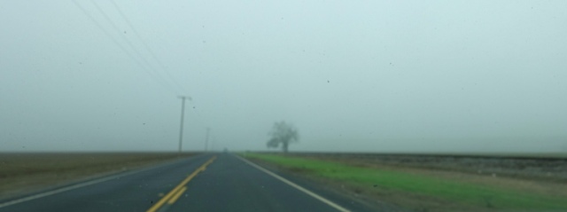 Foggy Drive, Central Valley, California, Foggy Day