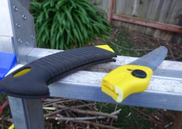 hand saw, tree work, tree trimming