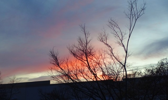 Winter sunset, red sky, silhouette