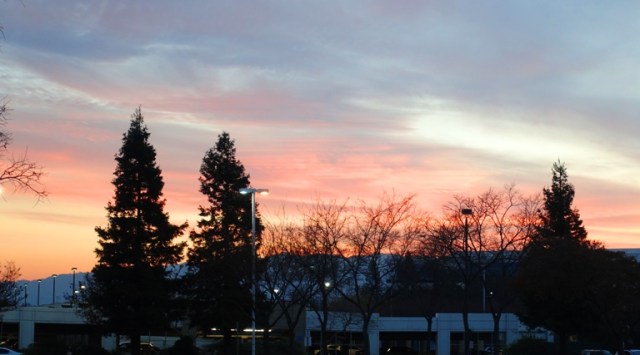 January sunset, winter sunset, red sky, silhouettes