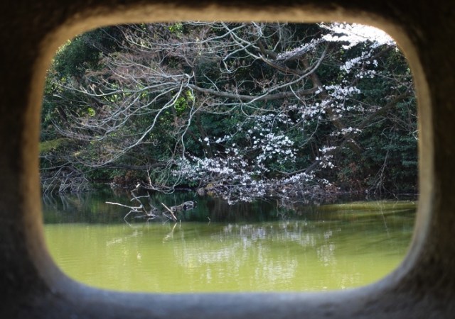 Shinjuku-gyoen, Japan, gardens, pond