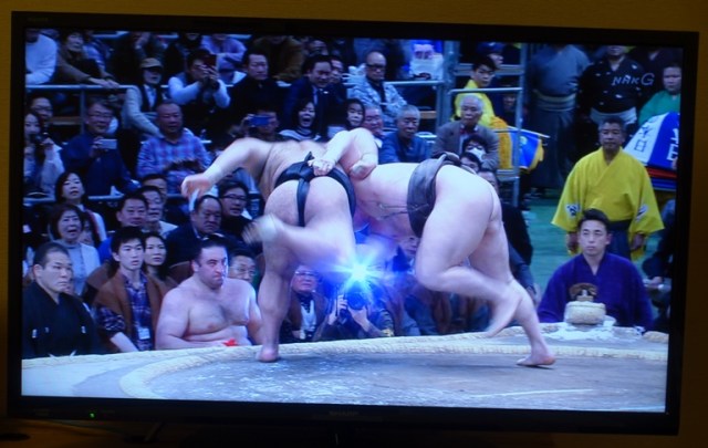 Out of the ring, Sumo, wrestling, Japanese Culture