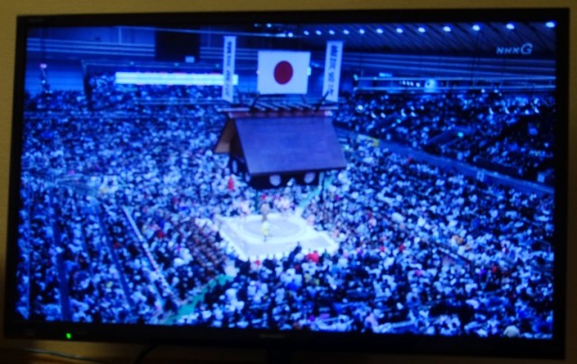 Sumo tournament, Grand Sumo, Osaka, Wrestling, Japan