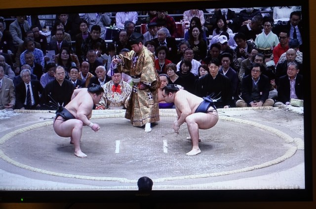 Sumo match beginning, sumo wrestling, Japan, Japanese Culture