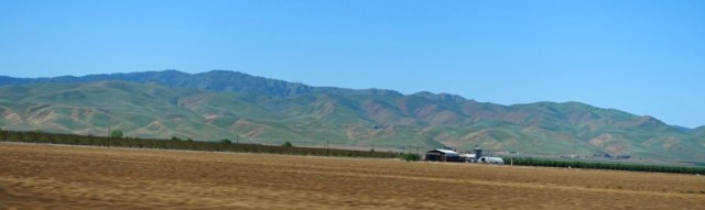 browning hills, Central Valley, California, Spring, Summer