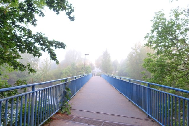 bridge, fog, saale river, jena germany