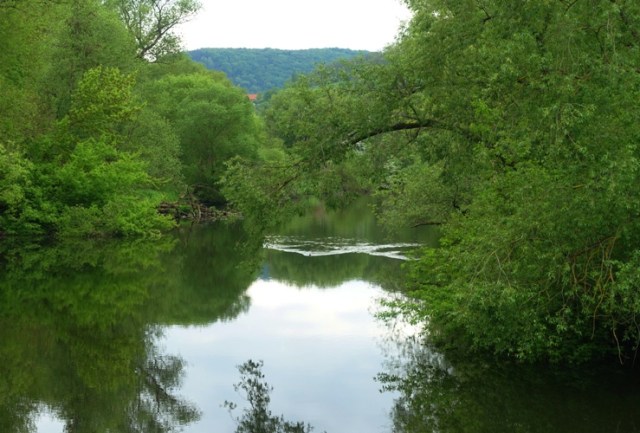 river reflections, river, jena germany