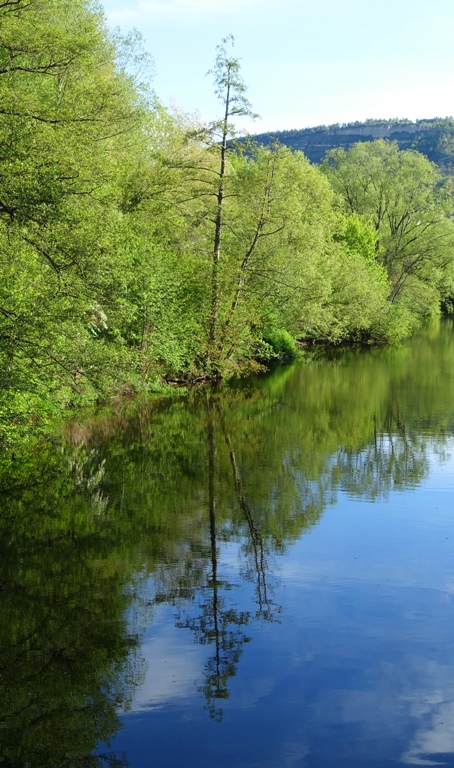 river, reflection, trees, water, german river