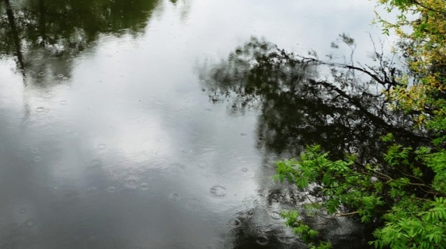 river, rain, germany, river reflections