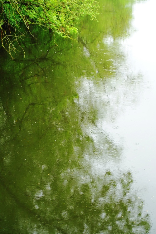 rain drops, river, germany