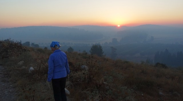 Khirbet al-Ra’i, archaeology, israel, dig