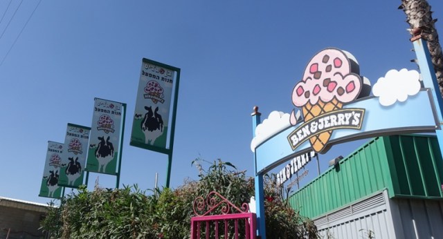 Ben and Jerry's Factory Store, Ice Cream, Israel, Cows