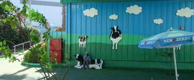 Ben and Jerry's Factory Store, Ice Cream, Israel, Cows