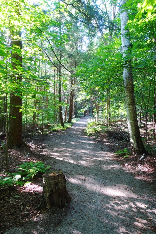 Kingbridge Centre, Trails, Hiking, walking trails, Canada, Toronto