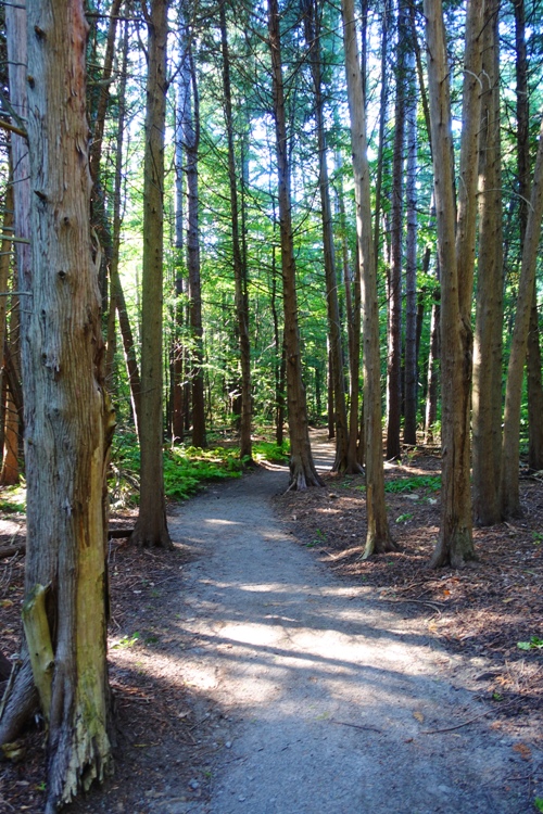 Kingbridge Centre, Trails, Hiking, walking trails, Canada, Toronto