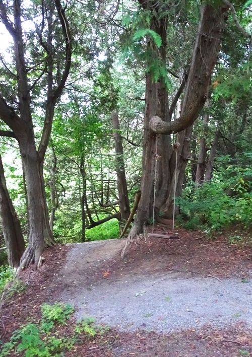 Training Centre, Kingbridge Centre, Canada, Toronto, Outdoors