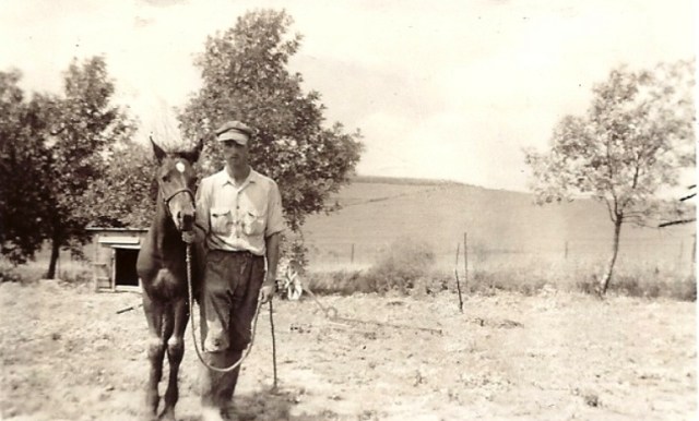 Horse, Grandpa, farm, family, Iowa