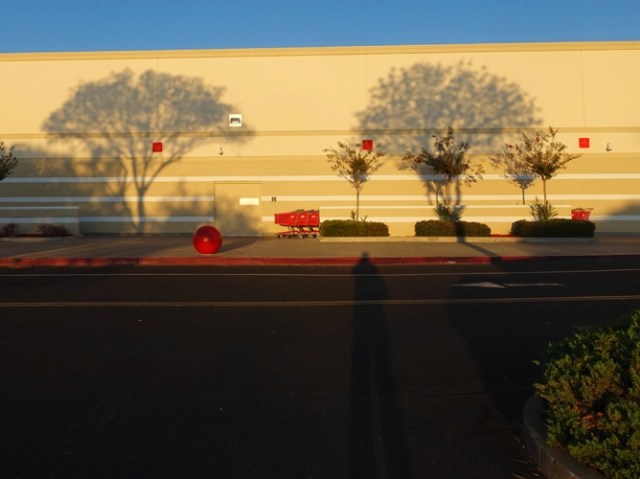 shadows, target, sunset, long shadows, trees