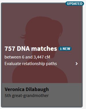 Amish DNA, ThruLines, Ancestry, DNA, Amish Genealogy