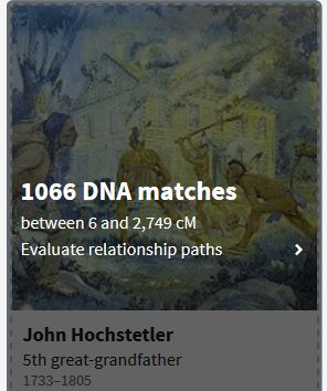 Amish DNA, ThruLines, Ancestry, DNA, Amish Genealogy