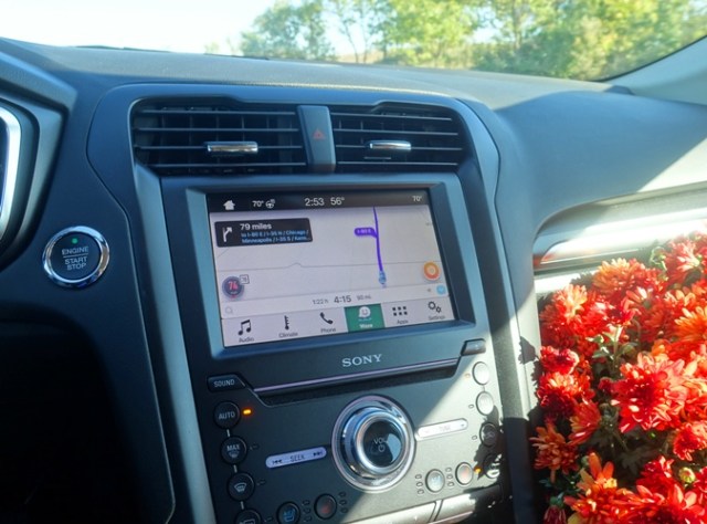 mum flowers, car display, hybrid, Ford Fusion