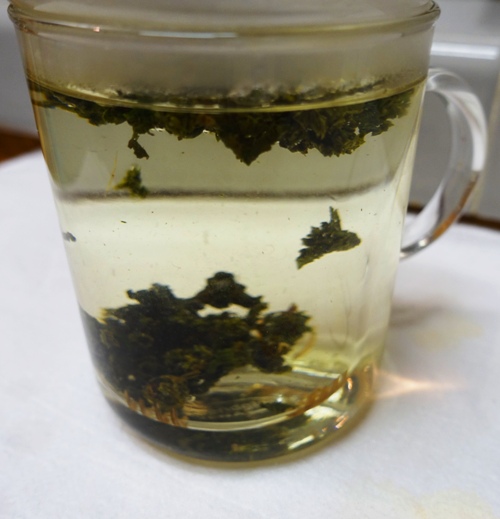 milk oolong, Jin Xuan Tea, tea, brewing tea