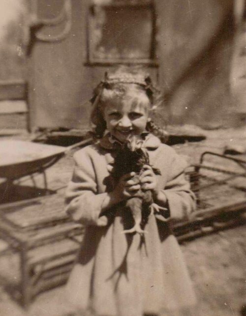 Girl holding chicken, barnyard, fowl, Iowa farm