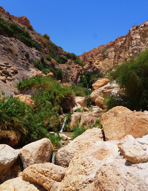 Ein Gedi, waterfalls, Israel, oasis, David, Dead Sea
