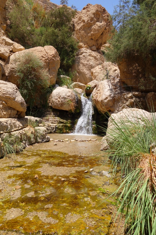 Ein Gedi, waterfalls, Israel, oasis, David, Dead Sea