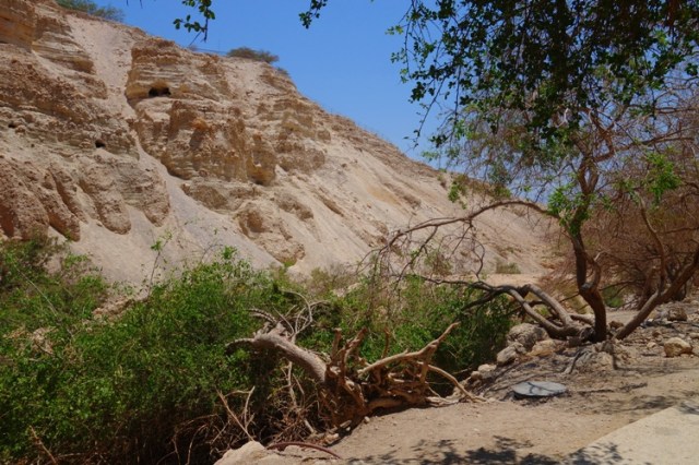 Ein Gedi, waterfalls, Israel, oasis, David, Dead Sea