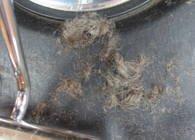 salon, hair cut, cut hair, mess on floor