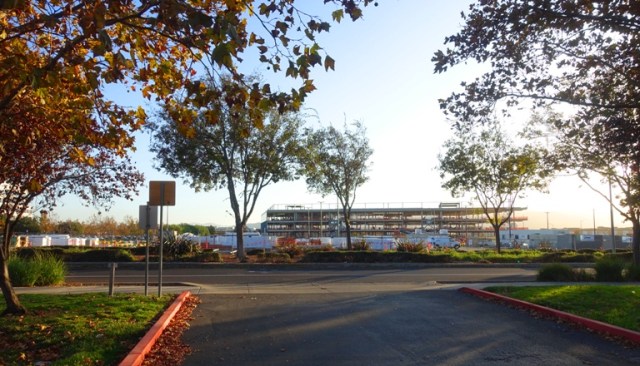 fall, autumn, afternoon sun