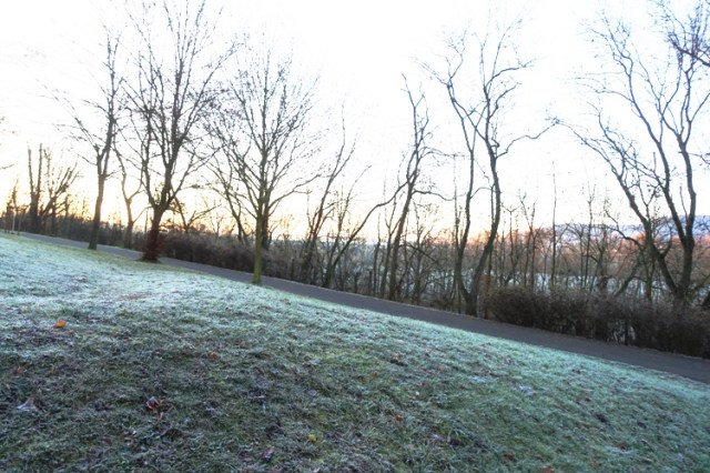 frost, grass, germany, cold weather