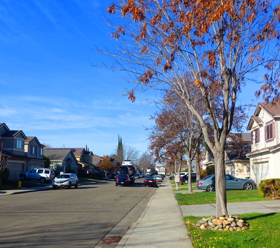Old Blue, Cars, Pontiac, Donation, Old Car, Towed away