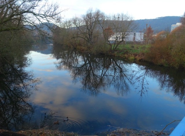 Saale River, Jena Germany, trees, sky reflection