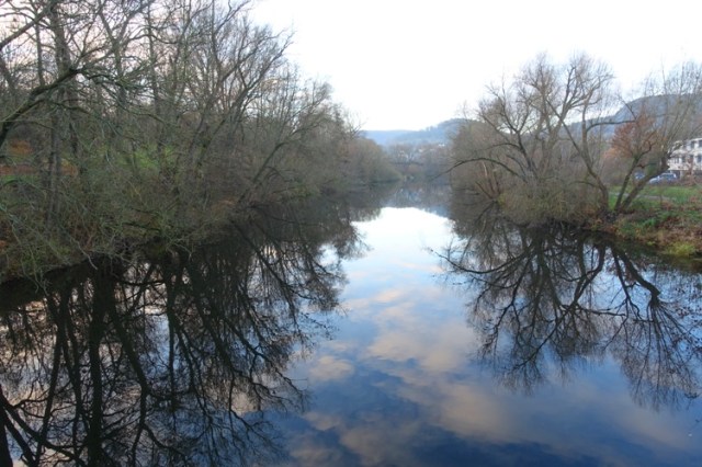 Saale River, Jena Germany, trees, sky reflection