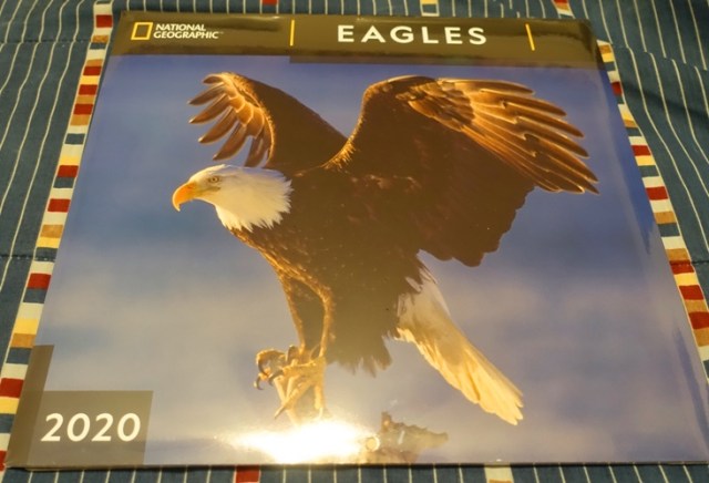 National Geographic Eagle Calendar, 2020 Calendar